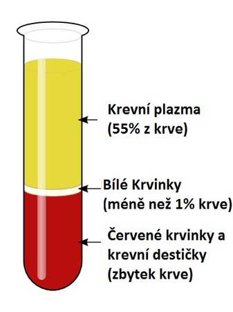 Zloženie a funkcia krvi